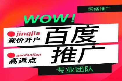 百度信息流广告推广的经典案例剖析
